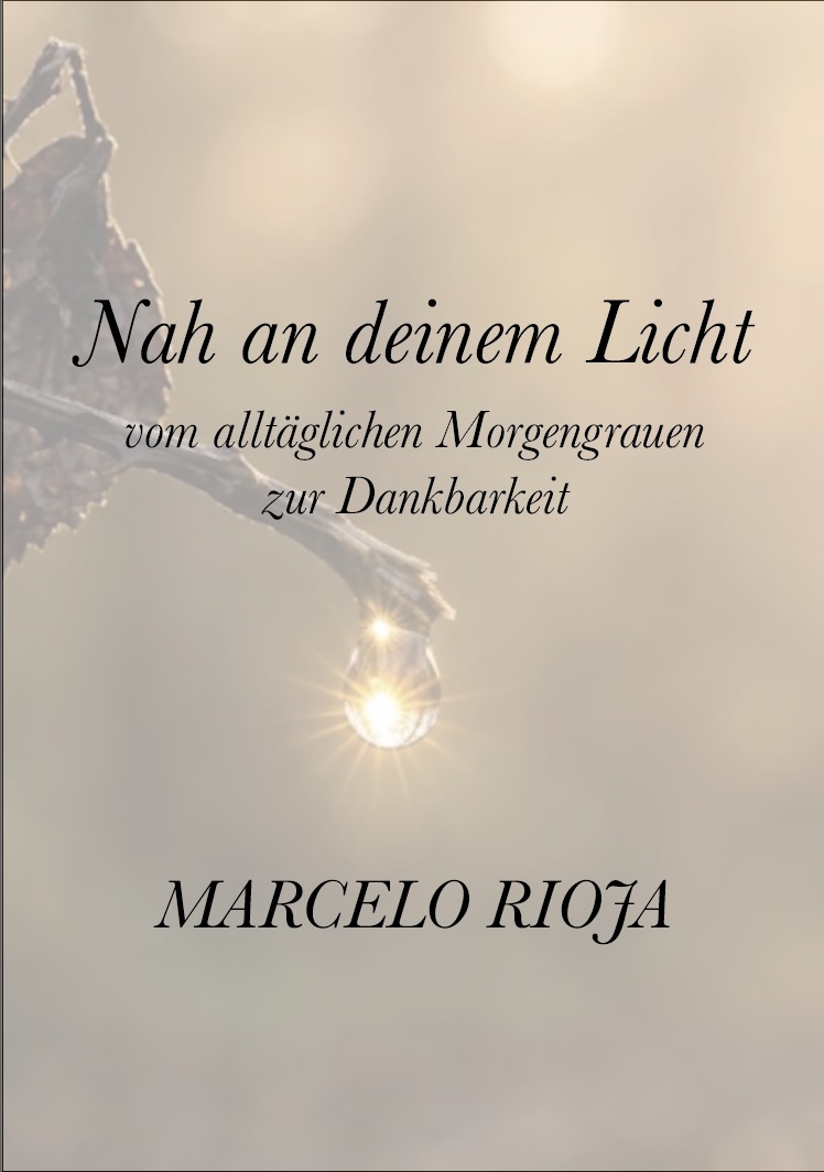 Nah an deinem Licht — Cover